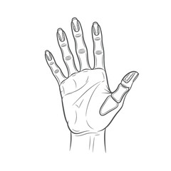 Obraz premium Anatomical Illustration of a Human Hand with Visible Bones
