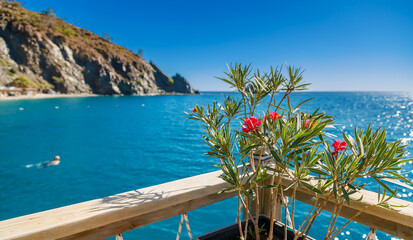 Naklejka premium Beautiful mediterranean sea view from a wooden balcony with blooming pink oleander flowers and rocky cliffs under a clear blue sky for luxury travel and summer vacation concepts