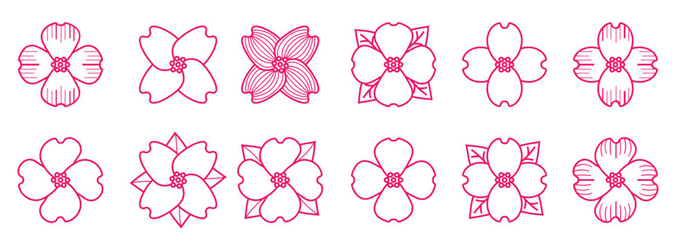  dogwood outline icon vector