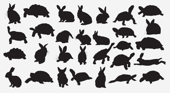 tortoise rabbit silhouette set