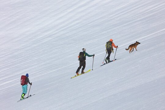 des hommes en ski de randonn&eacute;e sur une pente montante