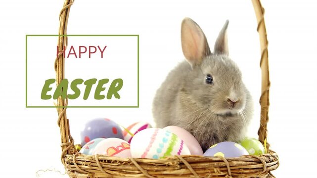 Green line appearing, greeting box sliding and fading, revealing rabbit in wicker basket for Easter