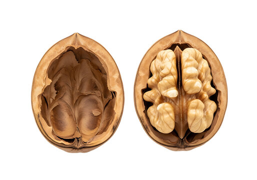 Halved walnut showing kernel and empty shell halves on white background food healthy organic
