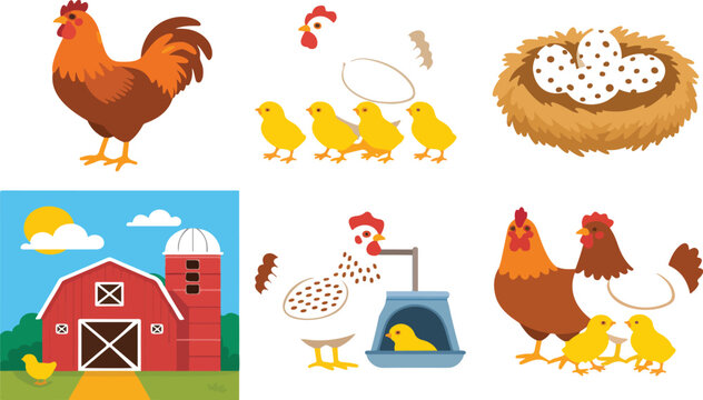 Cartoon Farm Animals Vector Set &ndash; Hen, Rooster, Chicks, and Eggs