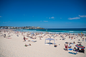 Obraz premium bondi beach and sea in Sydney, New South Wales, Australia