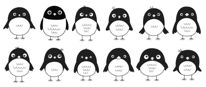 cute crow set in kids style