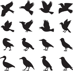 Obraz premium collection of mallard duck silhouettes for designers