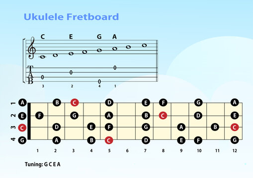 Vector illustration of ukulele fretboard notes with musical staff and tablature