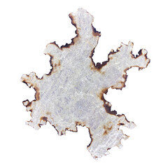 Obraz premium Burnt Paper Pieces with Ancient Magical Inscriptions, Historical Notes, Torn Paper Scraps, Singed Papyrus, Halloween Vibe, Old Books, PNG Format, Perfect for Posters, Events, and Presenta