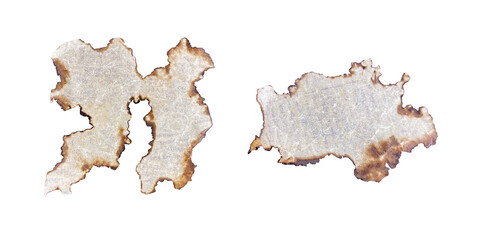 Obraz premium Burnt Paper Pieces with Ancient Magical Inscriptions, Historical Notes, Torn Paper Scraps, Singed Papyrus, Halloween Vibe, Old Books, PNG Format, Perfect for Posters, Events, and Presenta