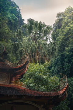 View of ancient tiled rooftops nestled beneath a canopy of emerald green trees, reaching towards a soft, overcast sky, Ninh Hai, Ninh Binh, Vietnam.