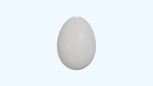 Minimal White Egg Object Animation with Clean Soft Lighting