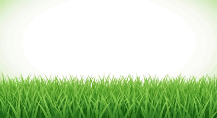 Obraz premium A vibrant green field of lush grass under a bright, soft white background, evoking a sense of nature and freshness.