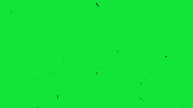 Frame Effect Overlay of old film with scratches, dust and grain. Dust and Scratches Grunge Damaged Old Film