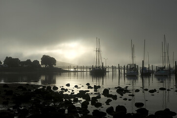 foggy morning in a New Zealand port