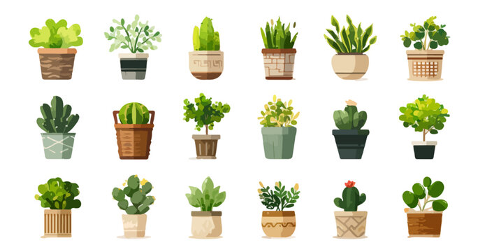 Collection d'illustrations vectorielles de plantes d'int&eacute;rieur vari&eacute;es dans des pots d&eacute;coratifs sur fond transparent.