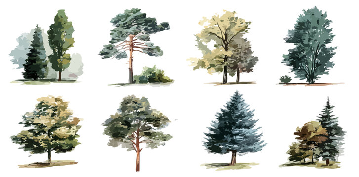Collection d'illustrations d'arbres diversifi&eacute;s et stylis&eacute;s, peints &agrave; l'aquarelle, sur fond transparent.
