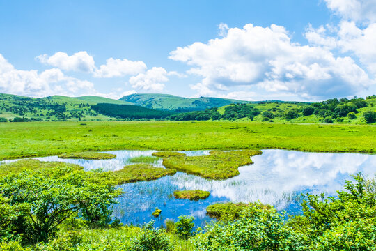 八島ヶ原湿原　夏