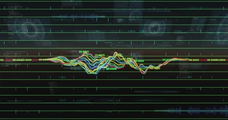 Fotobehang Vlees Showing multicolor waveform centering on monitor with horizontal green grid, numeric labels, HUD  © vectorfusionart