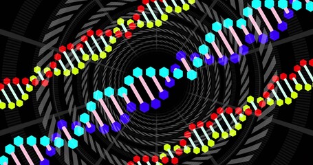 Fototapeta premium Showing three double-helix strands running diagonally through tunnel, with hexagonal nodes