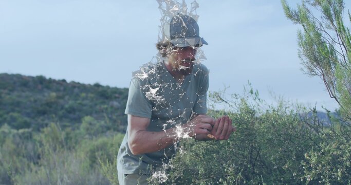 Examining man bending holding plant in scrubby hills, wearing cap and T-shirt with starry overlay