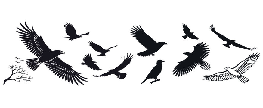 BIRD SILHOUETTE BUNDLE