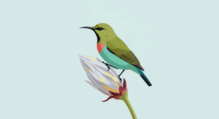 Fototapeta premium A small, vibrantly colored bird perches on a white flower bud
