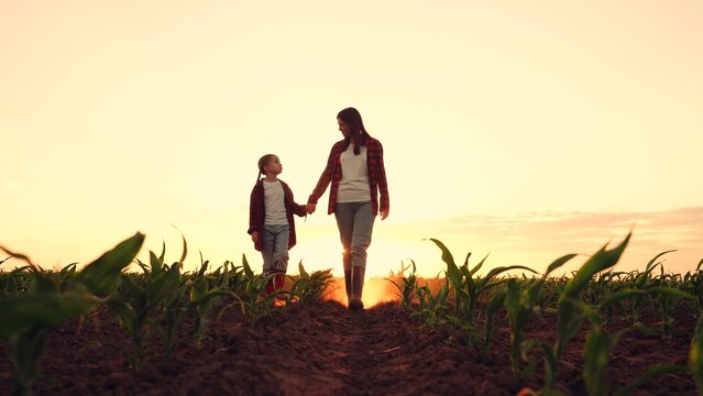 agriculture, child kid farmer organic food, green leaves farm, happy family, children dream, child go hand, mother child hand parent farmer, ripening harvest, green seedling sprouts field, small child
