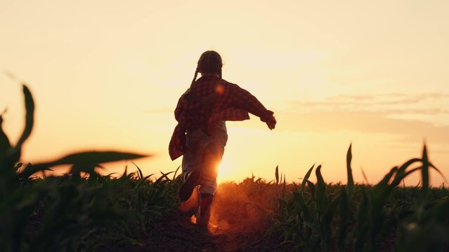 child running field sunset, agriculture, little child runs along a green field sunset countryside, walking running rubber boots, child airplane pilot dream sunset, running dust boots agriculture hero