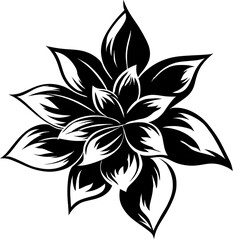 Night sky. Some stars visible in the dark. Bottom a faint blue glow. Almost complete dark