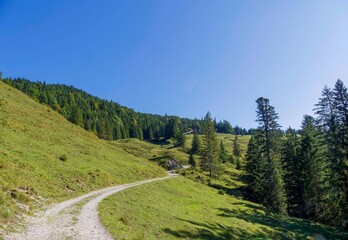 Obraz premium Bergwandweg über die sonnigen Wiesen der Waitzinger Alm und Petzingalm dem Pfanngraben folgend nach Rotwandhaus in Bayerischen Voralpen 