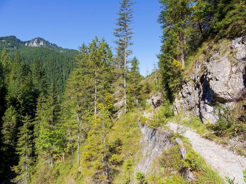 Wandern in Bayern - Auf dem Bergpfad Richtung Rotwandhaus verengt sich das Tal zwischen einer Felswand und dem tief eingeschnittenen Bach Pfanngraben.
