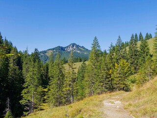 Obraz premium Entlang der Pfanngrabenschlucht verläuft ein breiter, ausgesetzter Wanderweg in wilder Naturlandschaft mit außergewöhnlichen Ausblicken auf die umliegenden Gipfel und Almen 