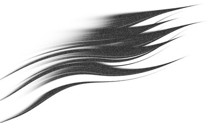 A detailed illustration of a black feather with intricate details isolated on transparent background
