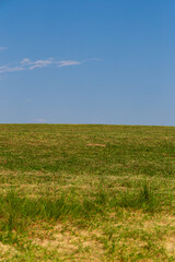 Fototapeta premium Green grass field with blue sky on a summer day.