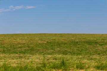 Green grass field with blue sky on a summer day.