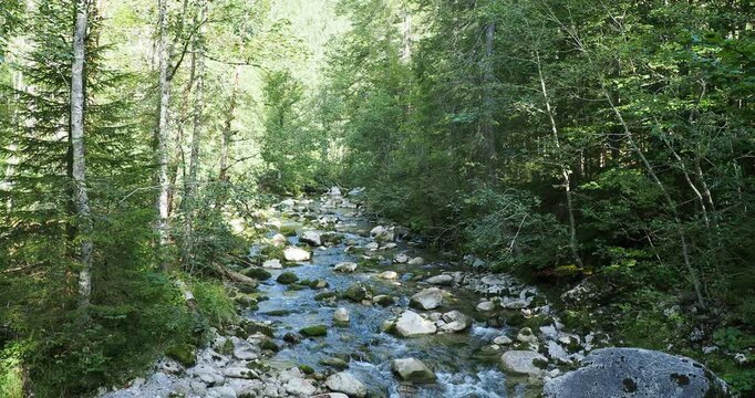 Der Bach Rote Valepp st&uuml;rzt durch den Bergwald des Valepptals s&uuml;dlich des Spitzingsees in den bayerischen Voralpen
