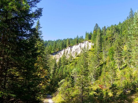 Der Waldweg entlang  die malerische Valepp-Tal f&uuml;hrt  pr&auml;sentiert Wanderern eine idyllische Landschaft mit fesselnden Panoramen.
