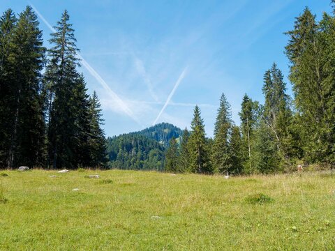 Landschaften der Bayerischen Voralpen. Der Waldweg entlang die malerische Valepp f&uuml;hrt  pr&auml;sentiert Wanderern eine idyllische Landschaft mit fesselnden Panoramen.