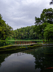 Fototapeta premium lake in the park