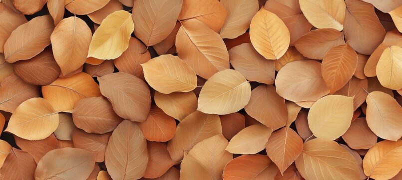 Beautiful Organic Ground Covered with Decorative Structure of Natural Dead Fall Leaves and Twigs