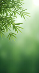 美しい竹の葉がそよ風に揺れ、穏やかな緑の世界を創り出す