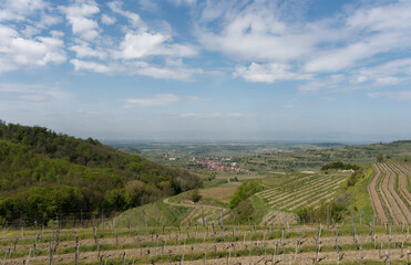 Fototapeta premium Baden-Württemberg - Kaiserstuhl - Altvogtsburg