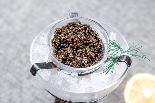 Premium Black Sturgeon Caviar with Lemon and Dill on Ice