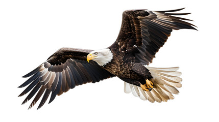 Obraz premium eagles png