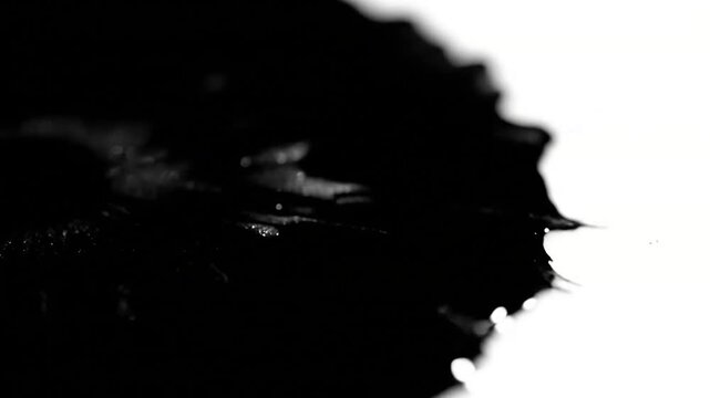 Monochromatic Shimmer Extreme close-up on deep black ink, revealing the subtle shimmering specular highlights as it subtly shifts and ripples, creating a dramatic visual.