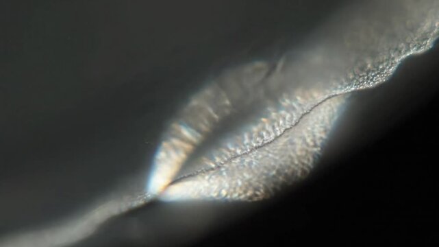 Abstract Refraction Pattern Detailed view of light subtly refracting and diffracting as it passes through a nearly invisible, textured barrier, creating gentle optical distortions with slight