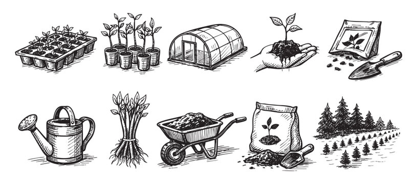Hand-drawn illustration of gardening elements. Features seedlings, tools, greenhouse and garden scenes. Perfect for websites, blogs or print related to gardening and nature.