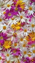 Fototapeta premium Close up floral arrangement of daisies and other blooms in natural light
