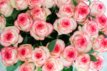 Elegant bouquet of pink and cream roses close up. Romantic floral background perfect for weddings, Valentine&rsquo;s Day, anniversaries